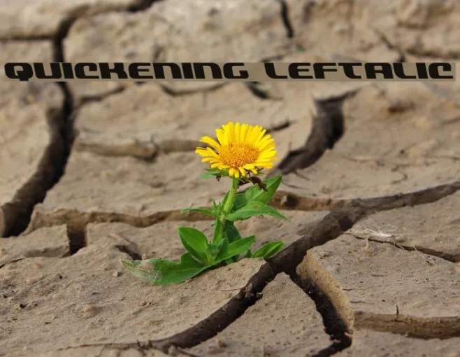 Quickening Leftalic Example 2