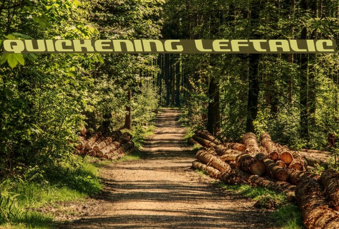 Quickening Leftalic Font examples
