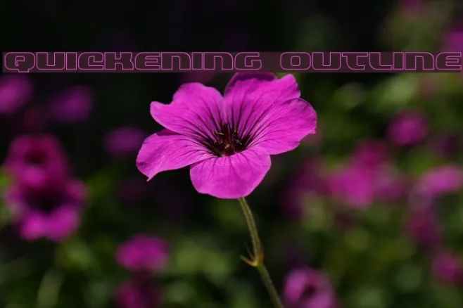 Quickening Outline Example 1