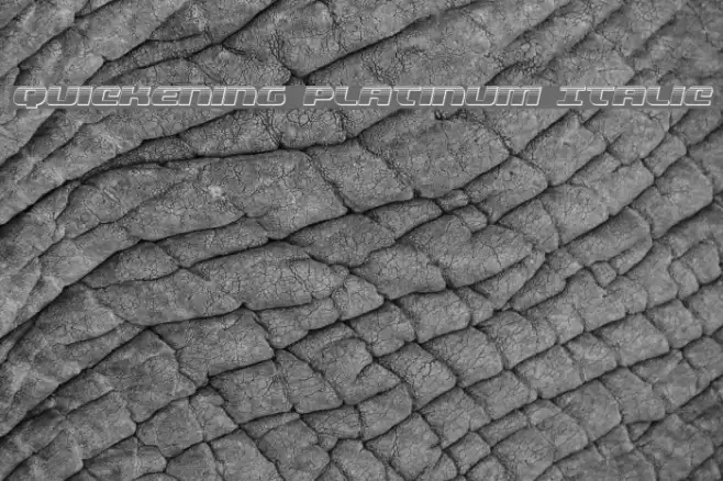 Quickening Platinum Italic Font examples