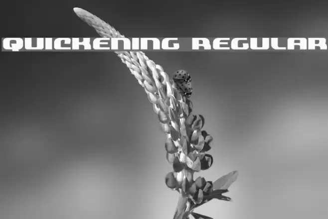 Quickening Regular Font examples