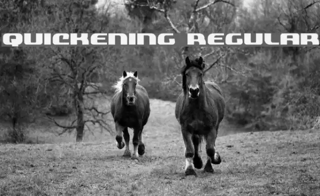 Quickening Regular Font examples