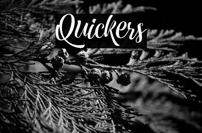 Quickers Font examples