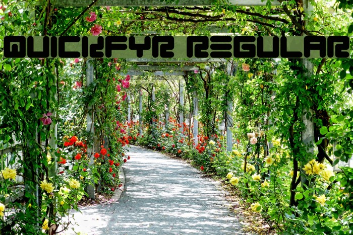 Quickfyr Regular Example 2