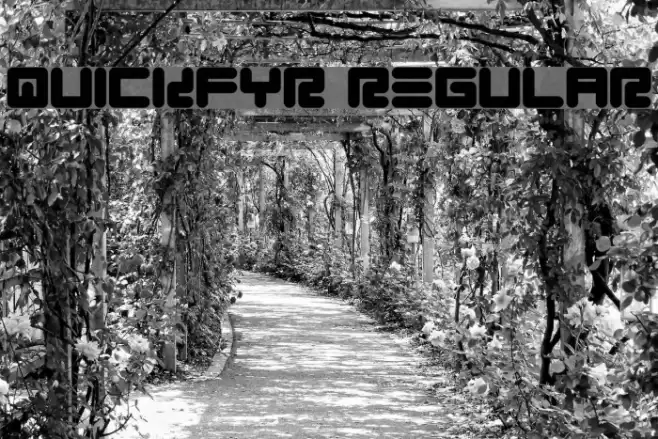 Quickfyr Regular Font examples