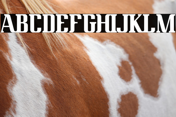 Quickjob Demo Example 1