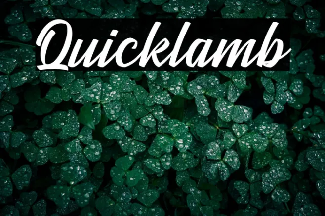 Quicklamb Example 1