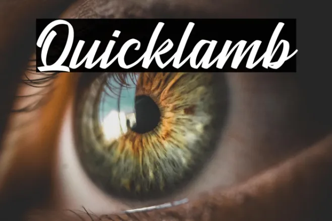Quicklamb Example 3