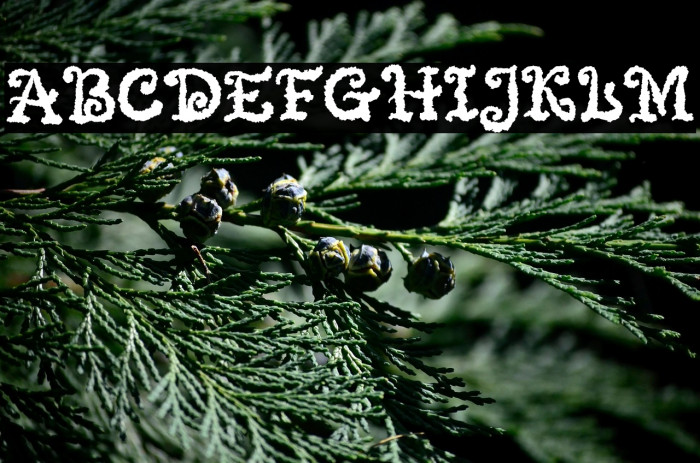 Quickly Magic Example 3