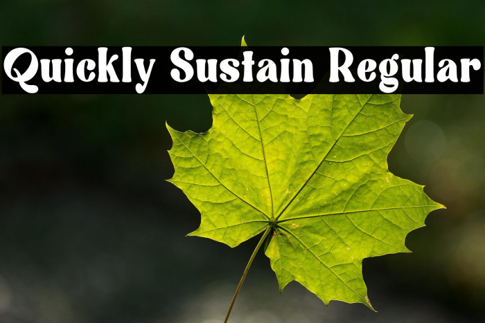 Quickly Sustain Regular Example 2