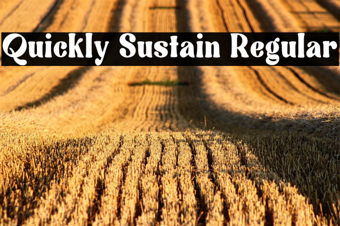 Quickly Sustain Regular Example 3