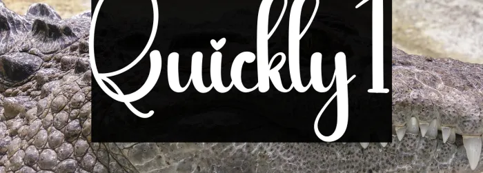 Quickly1 Example 1
