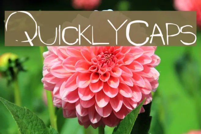 QuicklyCaps Example 3