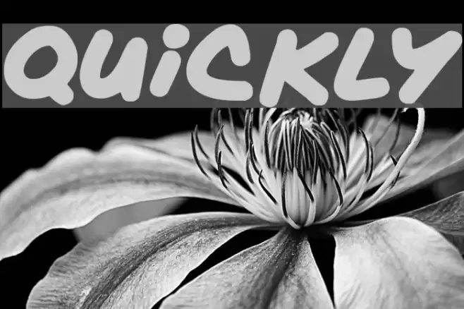 Quickly Font examples