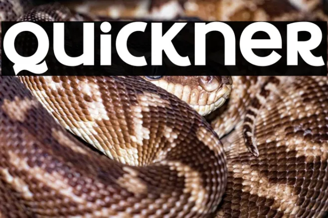 Quickner Example 1