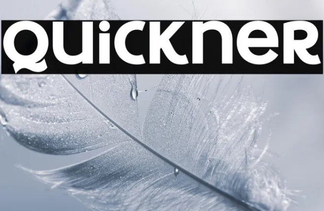 Quickner Example 2