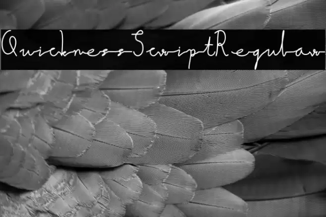 QuicknessScript-Regular Font examples
