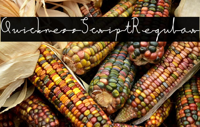 QuicknessScript-Regular Example 2