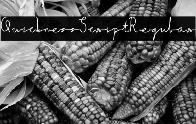 QuicknessScript-Regular Font examples