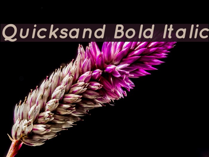 Quicksand Bold Italic フォント examples