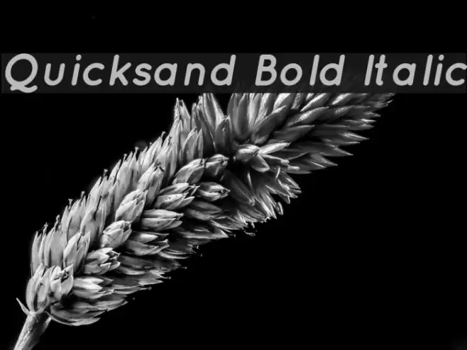 Quicksand Bold Italic examples