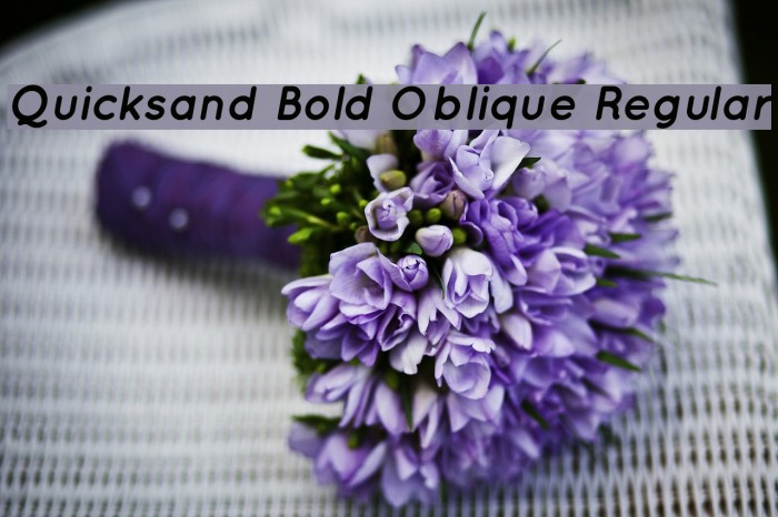 Quicksand Bold Oblique Regular Font examples