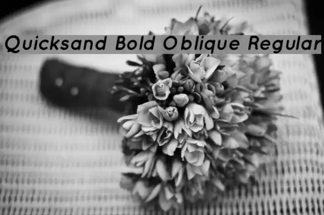 Quicksand Bold Oblique Regular  examples