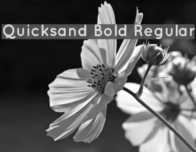 Quicksand Bold Regular Font examples