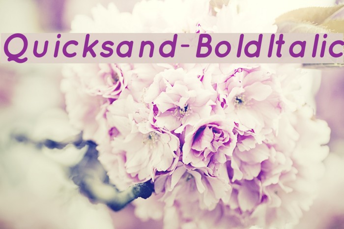 Quicksand-BoldItalic Font examples
