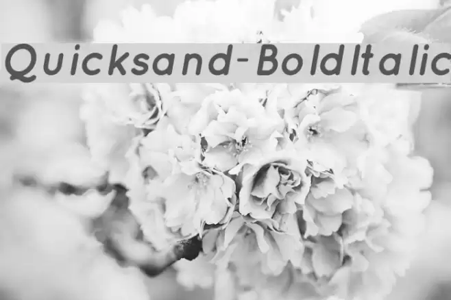 Quicksand-BoldItalic examples