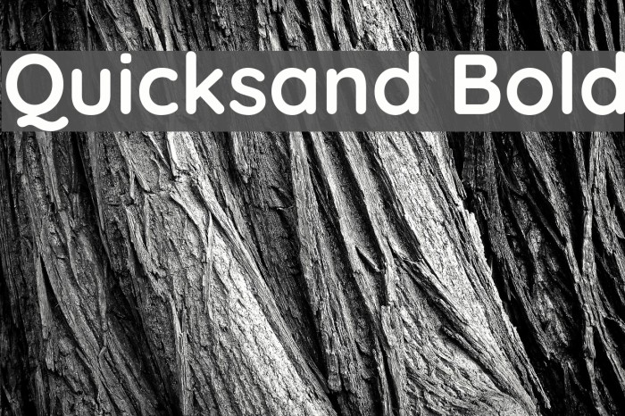 Quicksand Bold Polices examples
