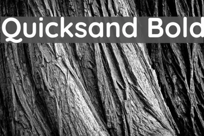 Quicksand Bold Fonte examples