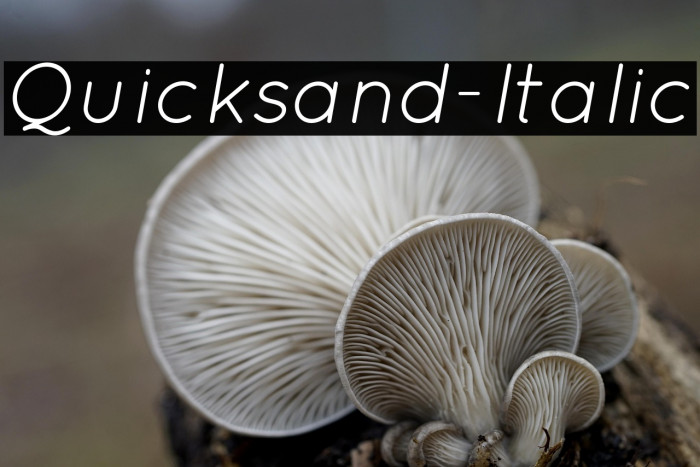 Quicksand-Italic Example 1
