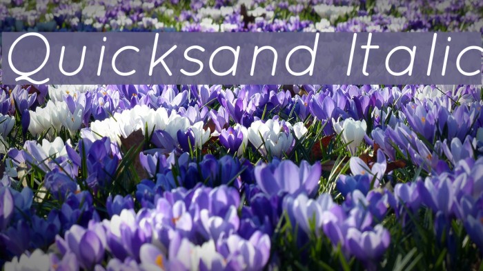 Quicksand Italic Font examples