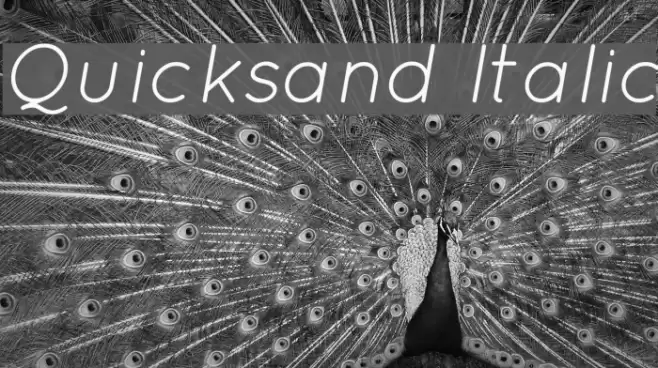 Quicksand Italic Font examples