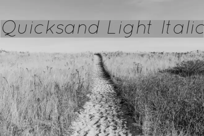 Quicksand Light Italic  examples