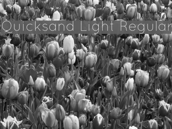 Quicksand Light Regular Fonte examples