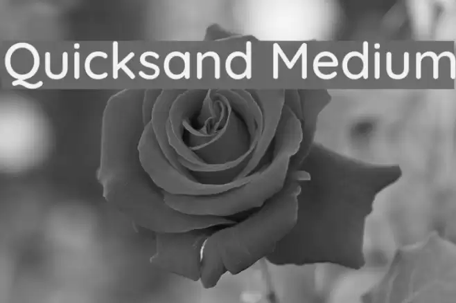 Quicksand Medium Font examples
