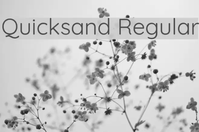 Quicksand Regular Font examples