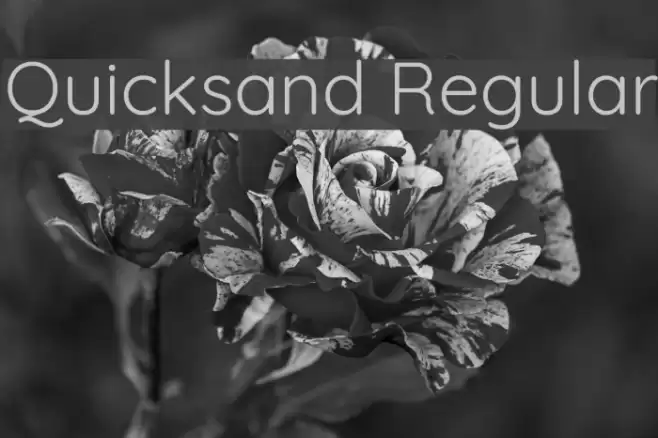 Quicksand Regular Font examples