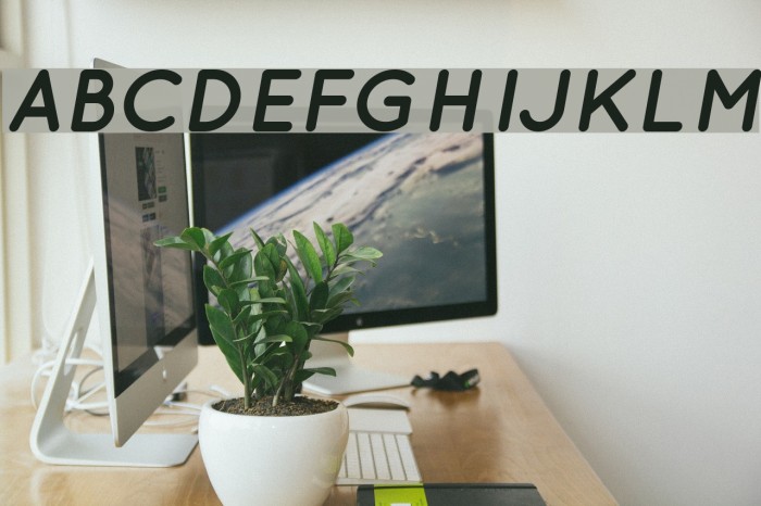 QuicksandBoldOblique-Regular Font examples