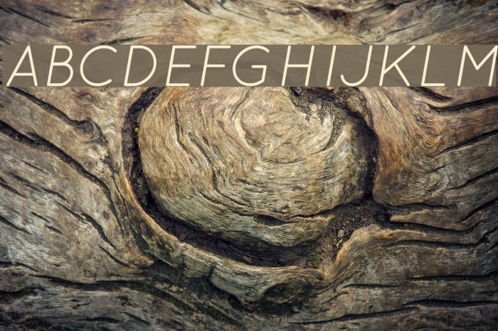 QuicksandBookOblique-Regular Example 2