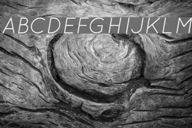 QuicksandBookOblique-Regular Font examples