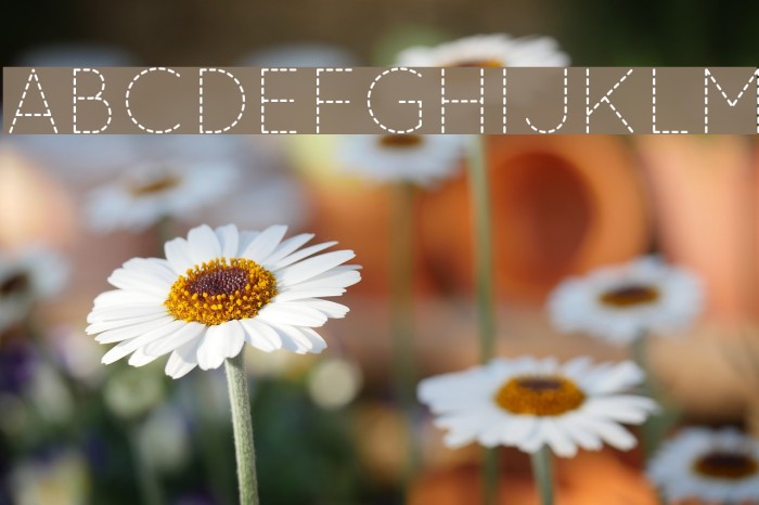 QuicksandDash-Regular Example 3