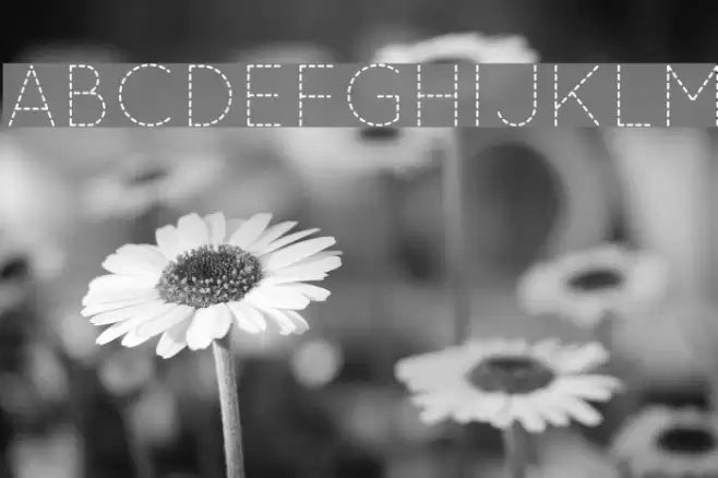 QuicksandDash-Regular Font examples