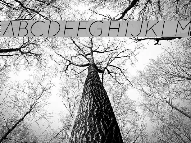 QuicksandLightOblique-Regular Font examples