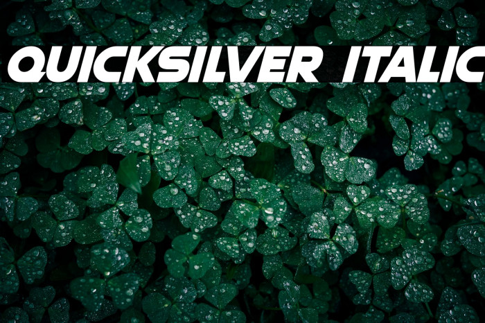 Quicksilver Italic Example 2