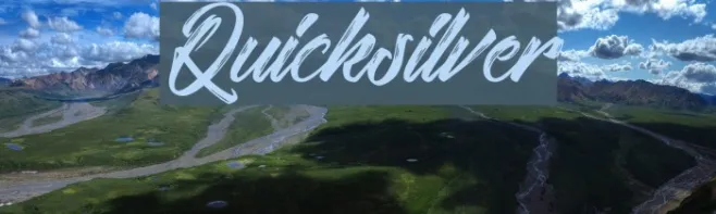 Quicksilver Example 1
