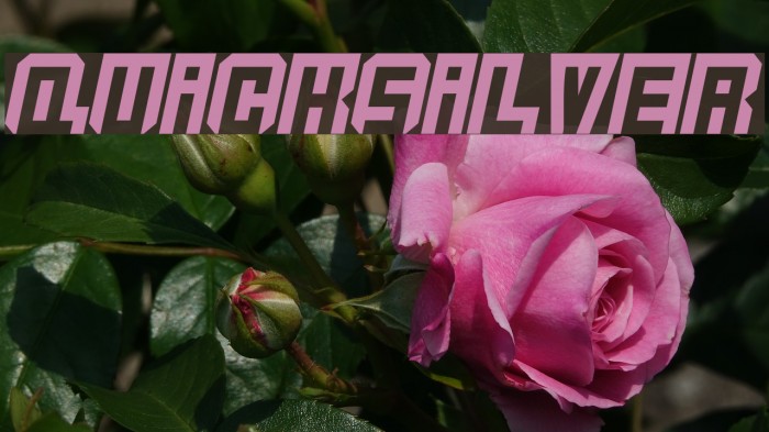 Quicksilver Font examples
