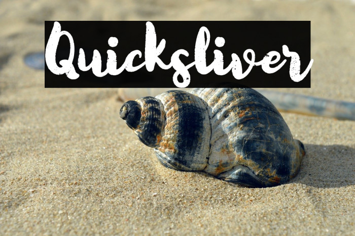 Quicksliver Example 1
